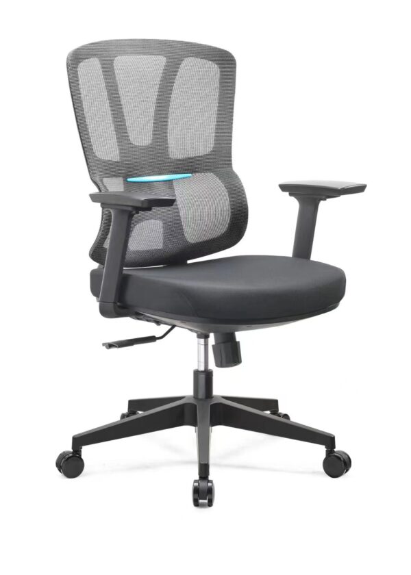 Office Chair YC-2813B
