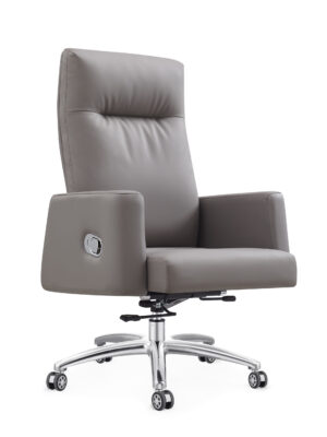Director Chair YC-801