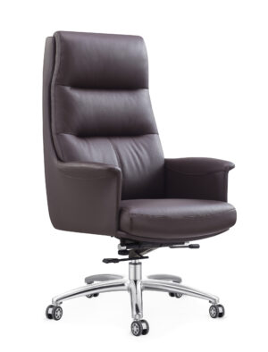 Director Chair YC-825