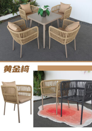 Outdoor Aureus Chair