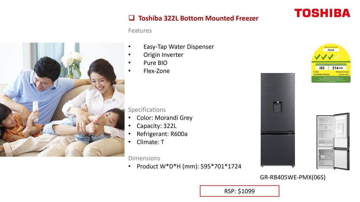 Toshiba 322L Bottom Mounted Freezer product image