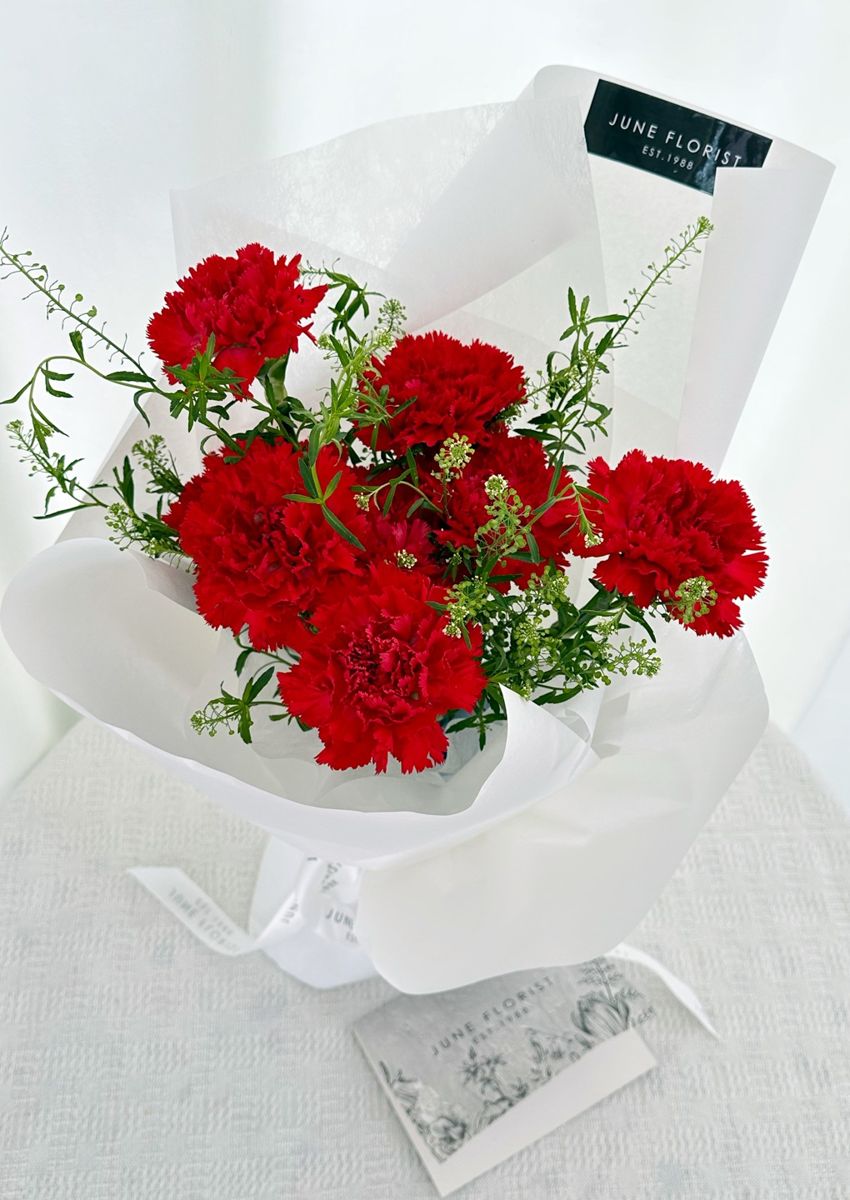 Carnation Bouquet 061 – Hand Bouquets