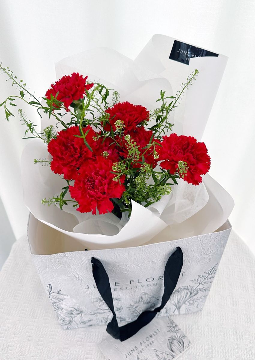 Carnation Bouquet 061 – image 2