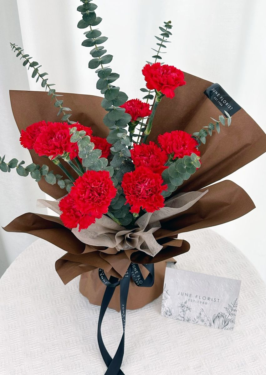Carnation Bouquet 062 – Hand Bouquets