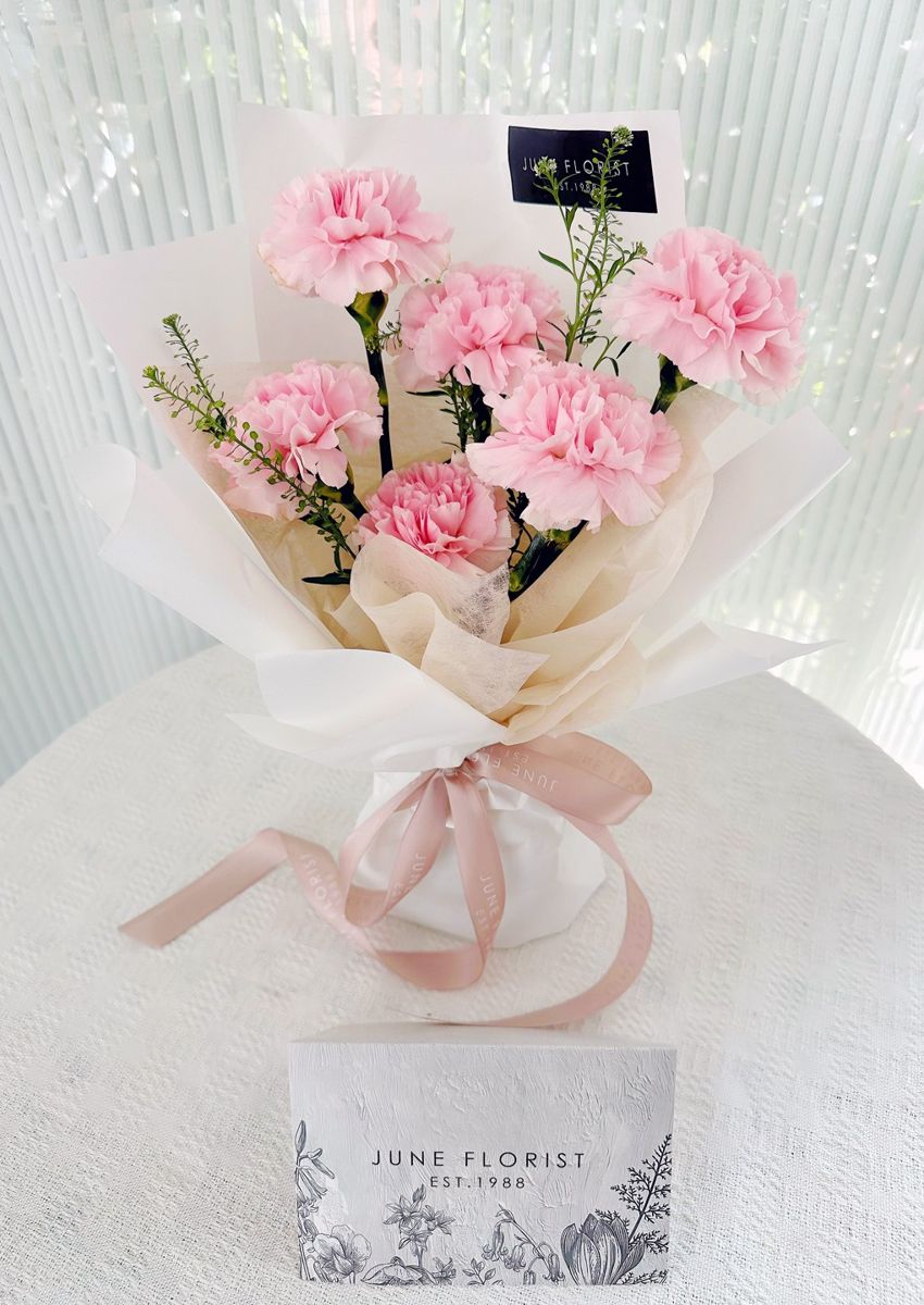 Carnation Bouquet 063 – Hand Bouquets
