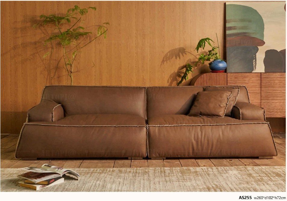 AS255 Modern Low-Profile Leather Sofa product image
