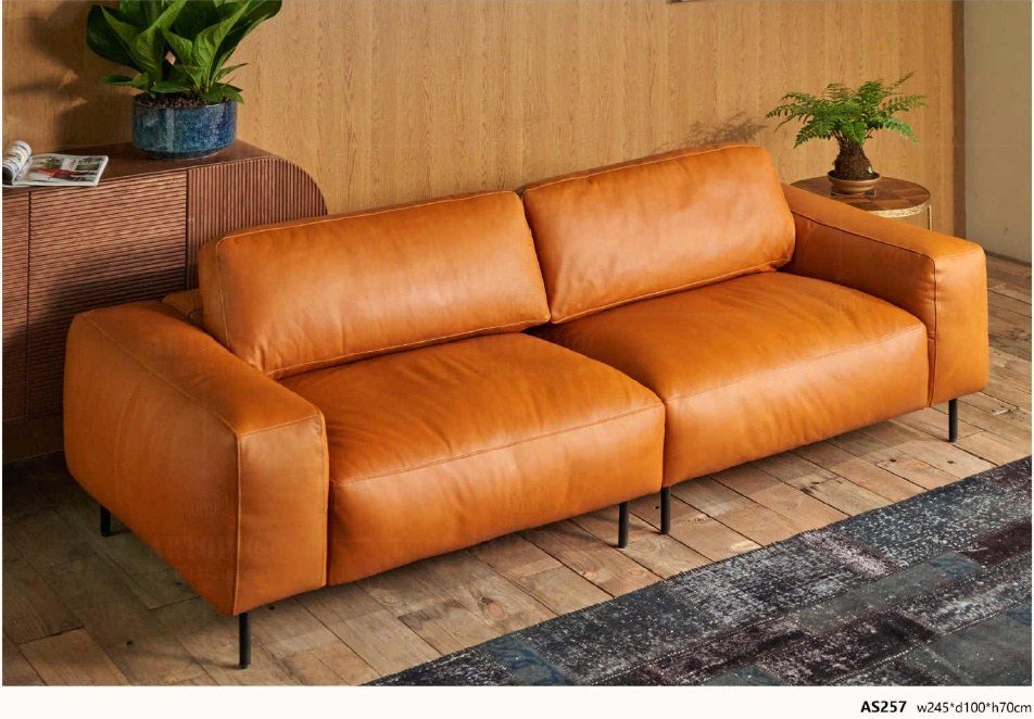 AS257 Modern Top-Grain Leather Sofa product image