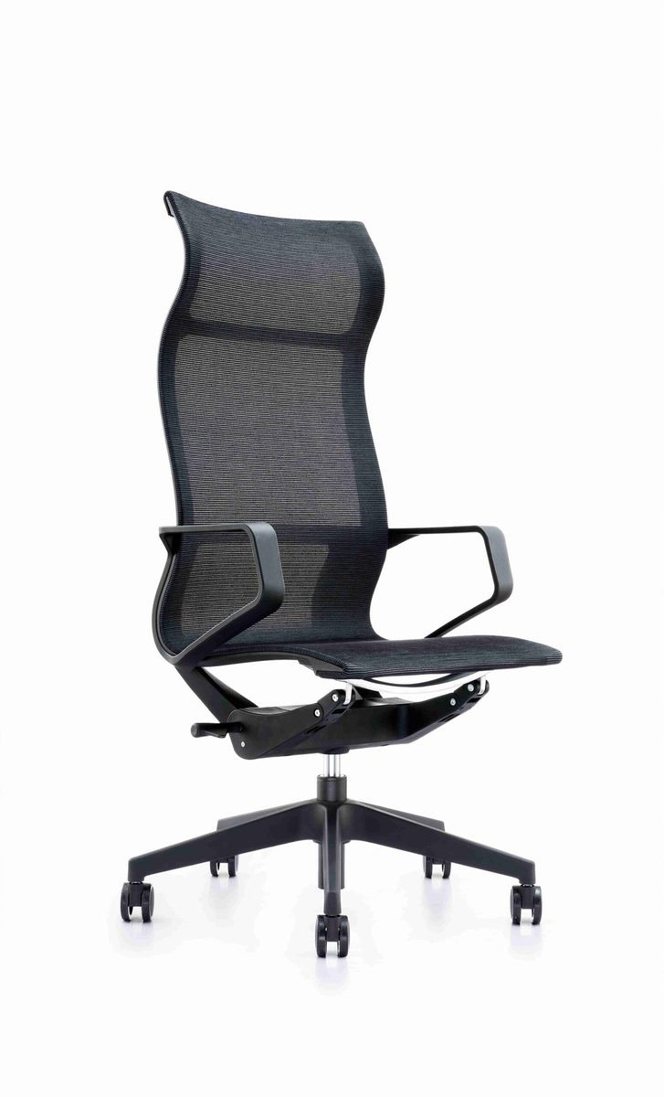 BIFMA Certified Chair-6218A-6218B-6218B-2 product image