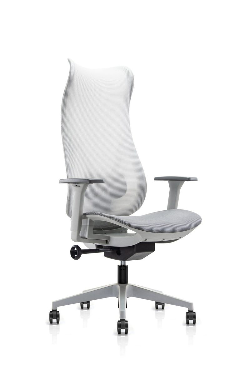 BIFMA Certified Chair -6233A-6233B-6233A-HS-6233B-HS product image