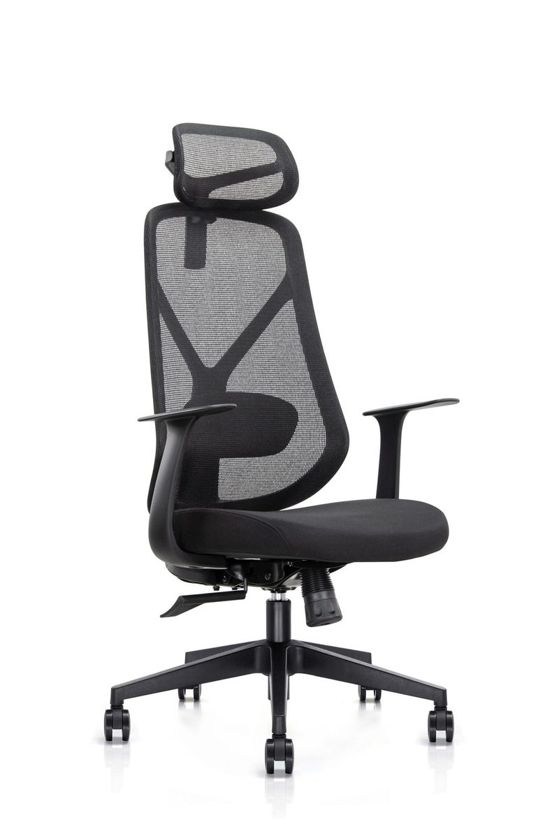 BIFMA Certified Chair-6243A-6243B-6243A-HS-6243B-HS product image