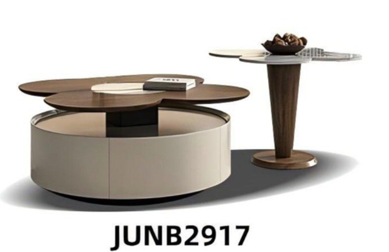 Coffee Table JUNB2917 product image